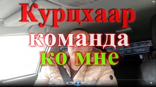 Курцхаар команда ко мне пошаговая инструкция