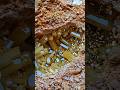 OMG..Super yellow crystals citrine gemstones #diamond #gemstones #jade #crystals #gold #agate
