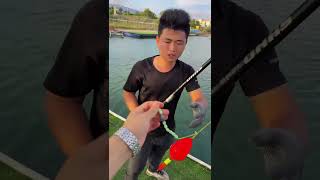 🔥Live Fishing: Catching Big Fish Today! 🎣 2026/05/24 18:03:37.