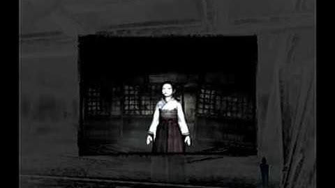 Fatal Frame III: Bug with a picture of Amane