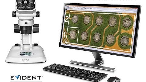 Manual Magnification Calibration  - OLYMPUS STREAM Microscope Imaging Software