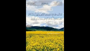 سورة الطلاق-الشيخ ماهر المعيقلي