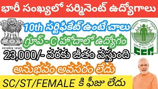 10th అర్హతతో భారీగా పర్మినెంట్ ఉద్యోగాలు|latest govt jobs 2020 in telugu|jobs in ap|ssc mtsjobs2021|