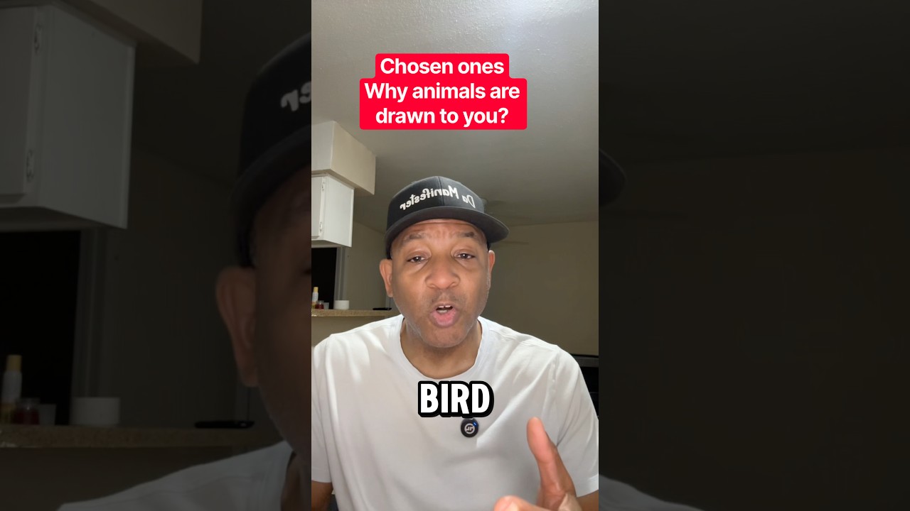 Chosen ones: Reason why animals are drawn to you? #animals #shorts #chosenones