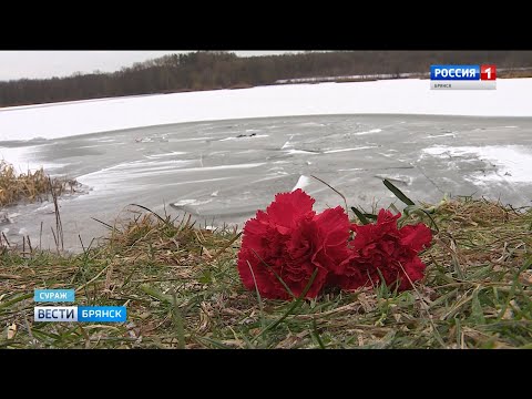 В Сураже трое детей провалились под лёд
