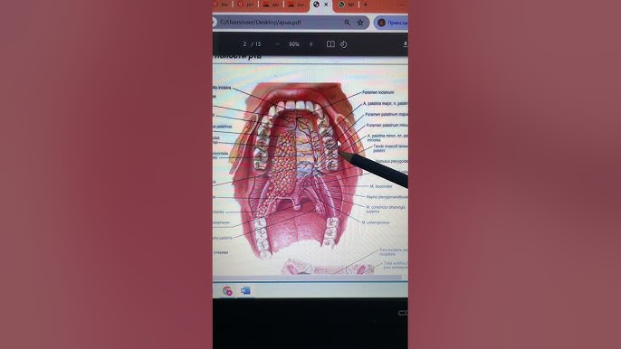 Мексикалық көліктермен порно секс