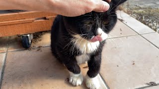 散歩の途中で離れて隠し撮りをしてみた［お散歩］