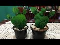 DIY: CACTOS FEITOS COM MATERIAL RECICLÁVEL VERSÃO 2 🌵