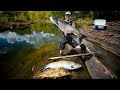 SpearFishing GIANT Carp To Feed Local Families!!! (underwater) | Jiggin' With Jordan