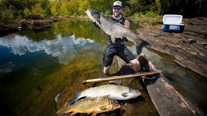 Spearfishing 30 lbs River Carp (using AMISH FISH SPEAR!)