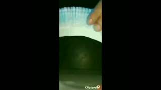 arranjo de flores de marmitas de isopor