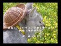 ネコカラ ただ、会いたい~母に~