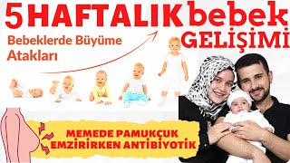 5 Haftalık Bebek Gelişimi (DETAYLI ANLATIM) w/   @Rabia ŞAHİN