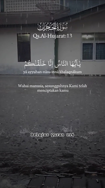 Murottal Quran Surah Al-Hujurat Ayat 13, (Quran Recitation) #quran #murottal #murottalquran #shorts