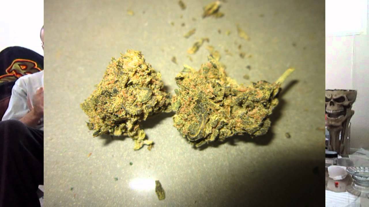 The Higher Channel - Williams Wonder - Blunt Review - T.H.C. Solutions - TheHigherChannel