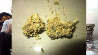 The Higher Channel - Williams Wonder - Blunt Review - T.H.C. Solutions - TheHigherChannel