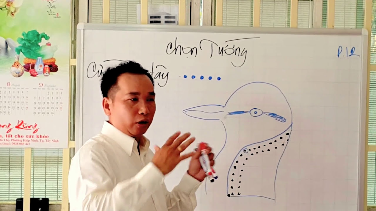 CHỌN CU MỒI HAY THEO QUAN ĐIỂM CỦA HỒNG SÂM P12