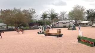 Cynthia schooling 1/29/13 round 1