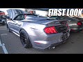 FIRST LOOK AT THE ALL-NEW 800+ HP SHELBY SPEEDSTER! *SOUNDS, WIDE BODY 2020 GT500, & MORE*