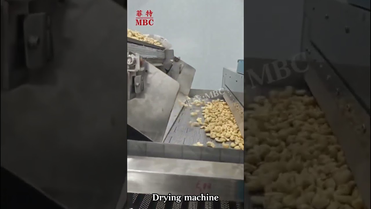 MBC OEM Peanut Cashew nut and jujube Dates drying line