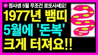 1977년 정사생 뱀띠 5월 돈복 크게 터져요!!ㅣ자동 수동 중 이걸 선택하세요ㅣ이번 재물운 절대 놓치지 마세요ㅣ뱀띠5월운세