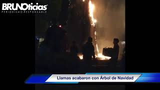 PIROTECNIA INCENDIA ÁRBOL DE NAVIDAD EN DEGOLLADO JALISCO