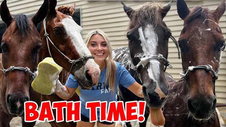 Giving ALL MY HORSES A BATH in One Video!