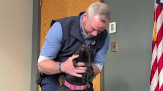 Sheriff's dog becomes beloved office mascot at Ada County Sheriff's Office