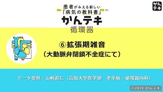 ⑥ 拡張期雑音（大動脈弁閉鎖不全症にて）