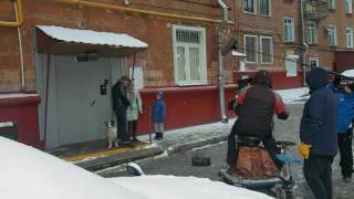 Фильм о фильме. Пиксель в кадре. Собака-актриса. Фильм о фильме. Пиксель в кадре. Собака-актриса.