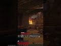 ¿UN PERRO EN EL INFIERNO? 🐶 #shorts #minecraft