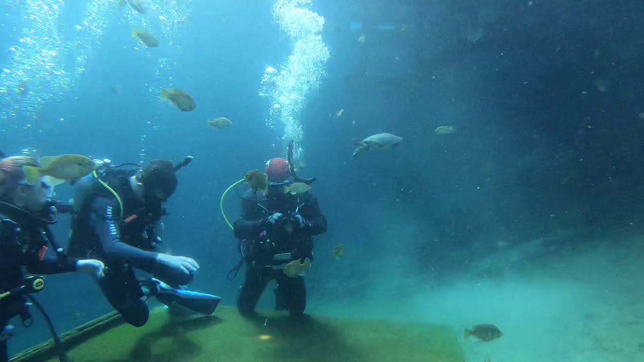 Dive Blue Grotto and Virgil YouTube