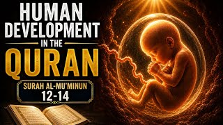 Human Development in the Quran | Surah Al-Mu’minun 23:12–14