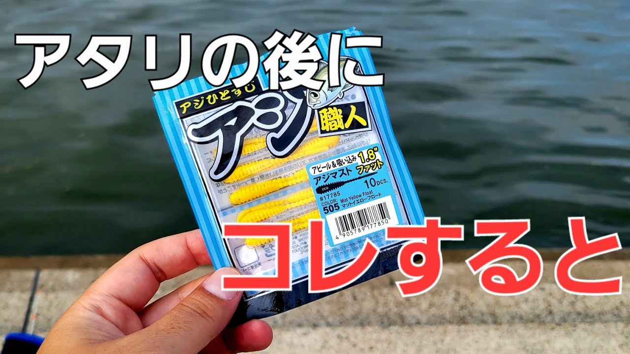 アジング】ド定番ワーム、掛からない直後にこの小技で釣果に差がつけれ