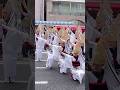 【阿波踊り2024|浅草雷連|女踊り】まるで空気椅子！二例目の踊り子さんが凄すぎる！【堀切かつしか菖蒲まつり】