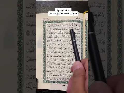 كلمات القرآن الغريبة ٧٢١ معنى قول الله تعالى وآتينا ثمود الناقة مبص رة فظلموا بها