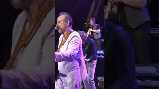 Colin Hay Sings Overkill Live #colinhay #rock #film #live #love #music #classicrock