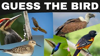 Guess the 100 different birds names | guess the bird quiz