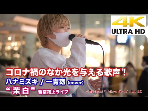 【4K】コロナ禍のなか光を与える歌声！　ハナミズキ / 一青窈（ccover） " 茉白（ましろ）" 新宿路上ライブ 4K動画