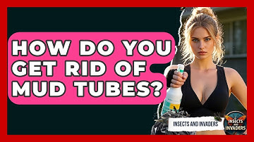 How Do You Get Rid Of Mud Tubes? - Insects and Invaders