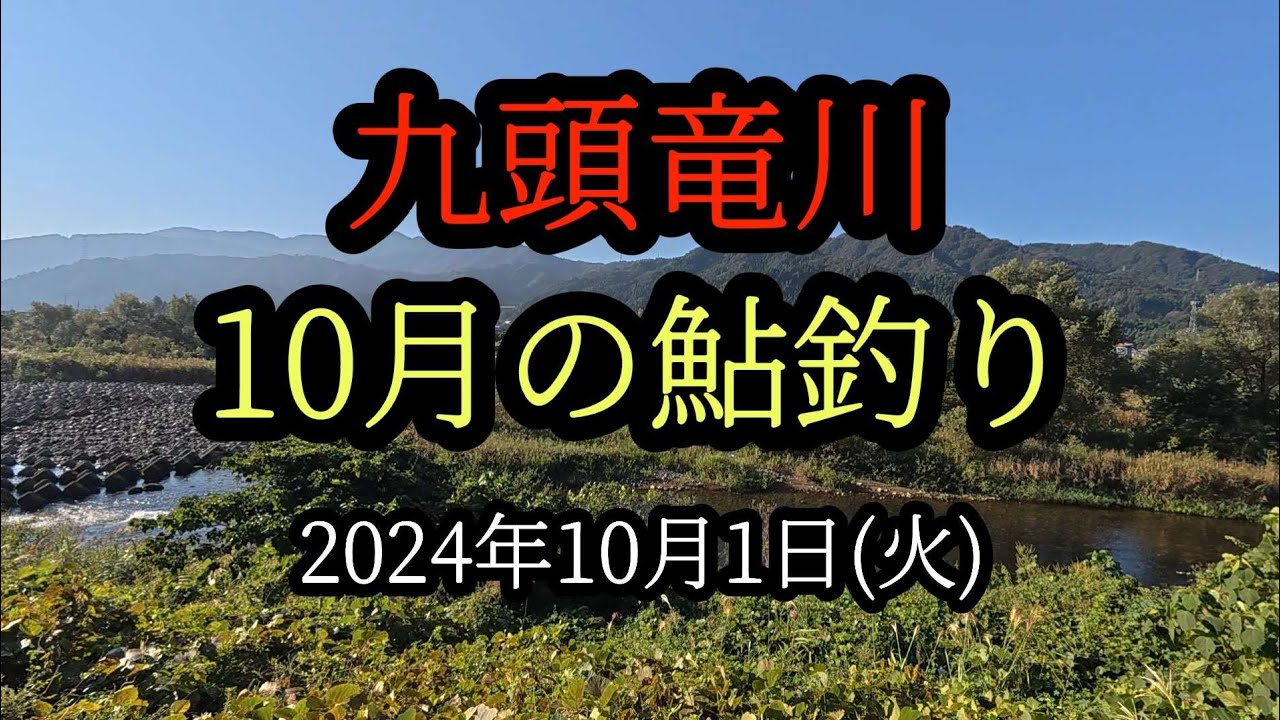 10月の九頭竜川鮎釣り