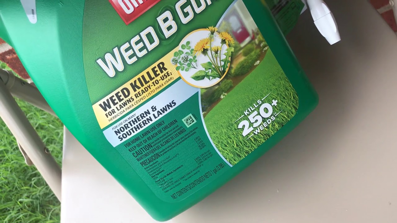 Weed B Gon By Ortho REVIEW! YouTube