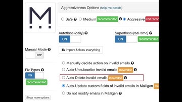 Mailigen email verification options