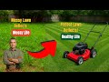 Lawn Care is Life Care | From Chaos to Calm Transformation