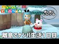 【あつ森】可愛いキャラが出るまで終われま10000！ばくゎら