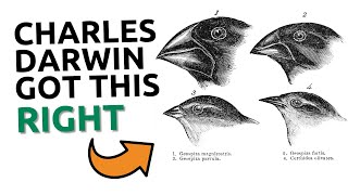 This "Evolutionary Theory" is Actually Biblical