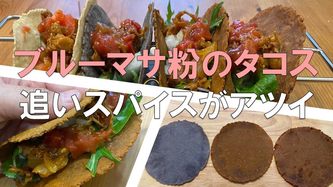 【タコス】ブルーマサ粉に追いスパイスがアツイ