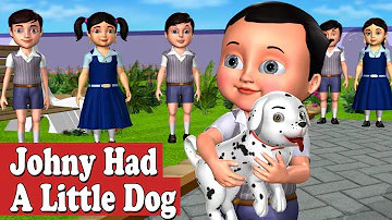 Johny had a Little Dog Nursery Rhyme - 3D Animation Nursery Rhymes and Songs for Children