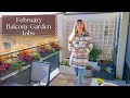 Balcony garden jobs in february