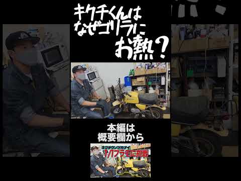 ゴリラを目の前に興奮気味のキクチくん…なぜあなたはそんなにお熱に…？　#ガレヨコ  #旧車 #レストア #カスタム #バイク #shorts